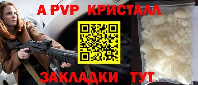 сатива Кингисепп